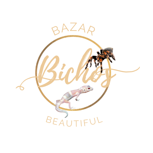 Bazar Bichos Beautiful
